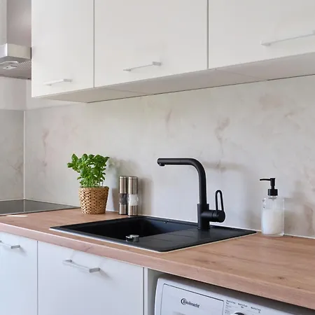 Stilvoller Altbau Zentral Apartment Magdeburg